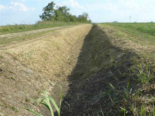 Kaszálás 2